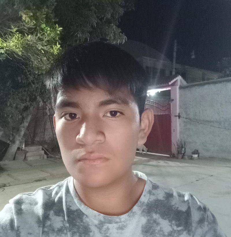 User Image