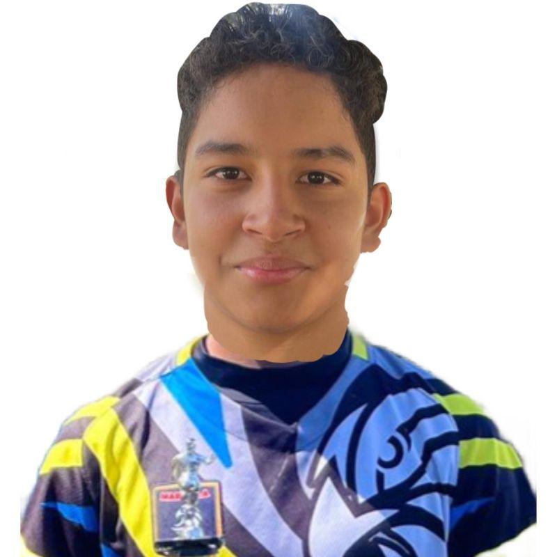 User Image